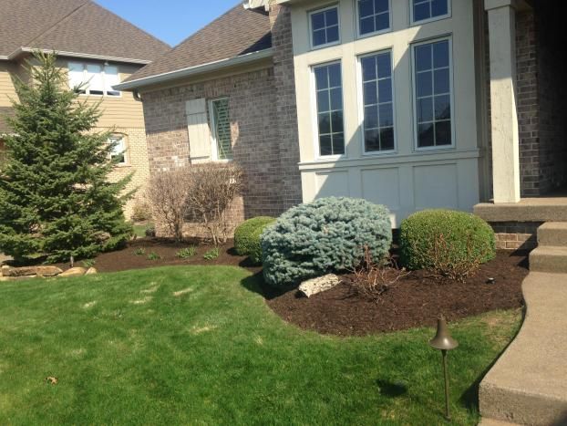 A recent landscape service job in the  area