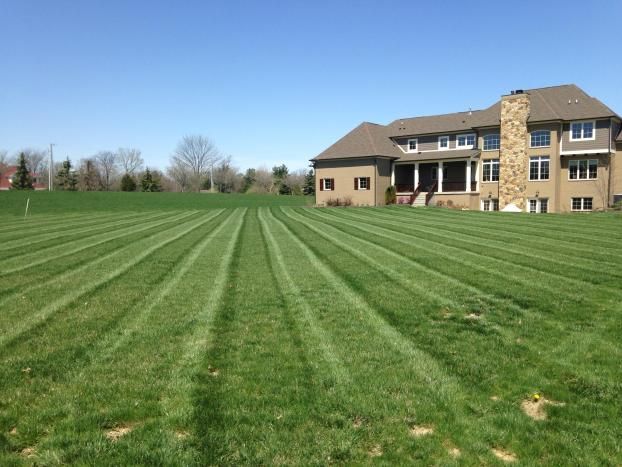 A recent lawn care service job in the  area